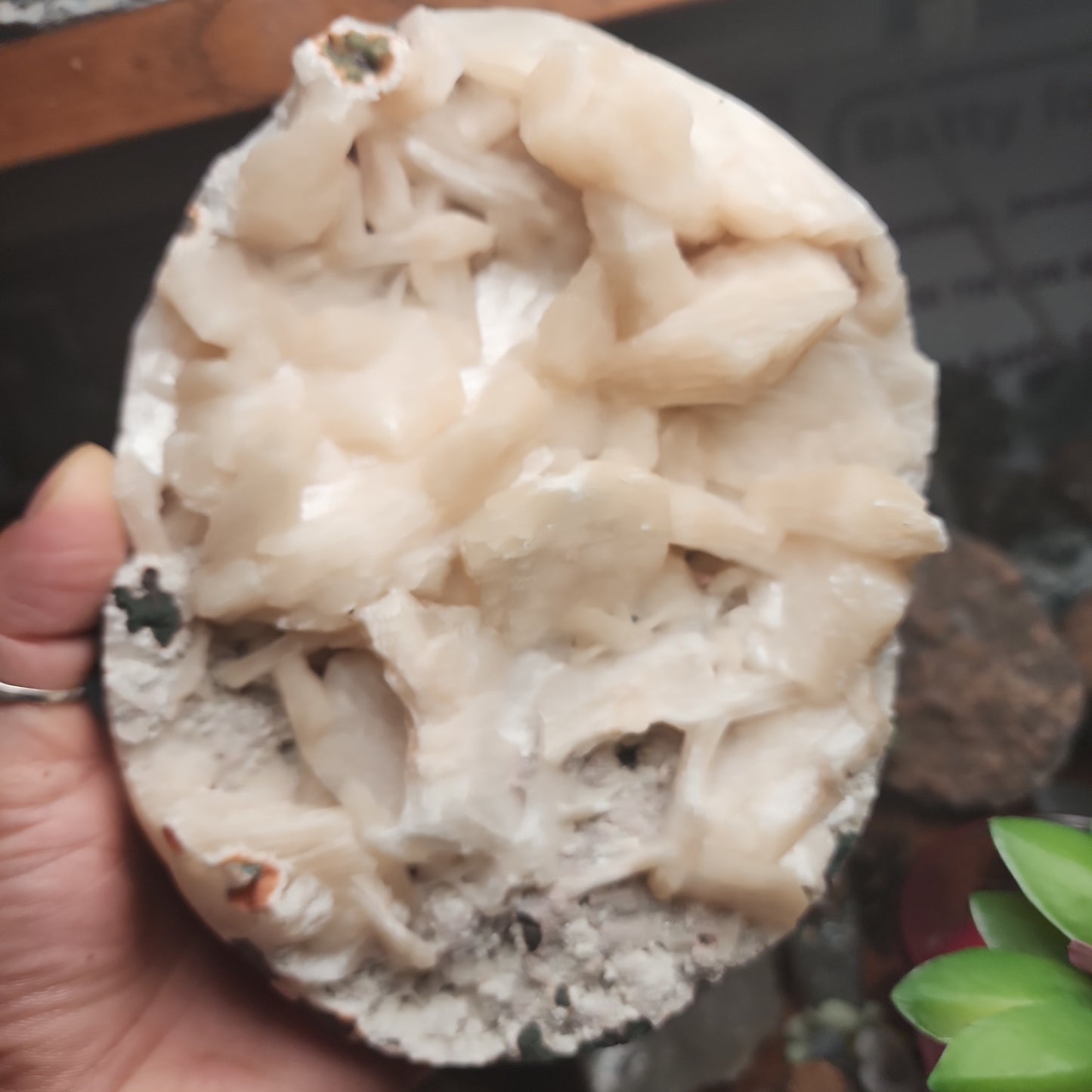 Large Stillbite Cluster