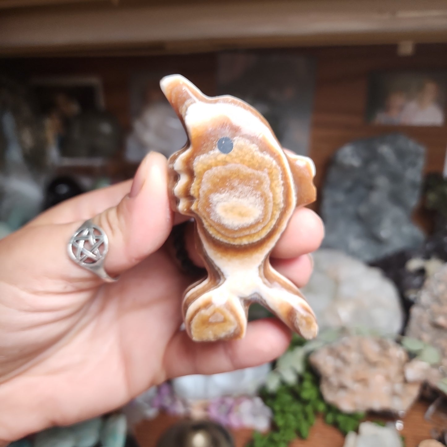 Brown Aragonite Dolphin