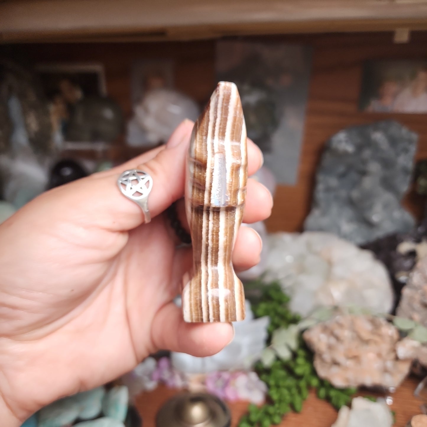 Brown Aragonite Dolphin