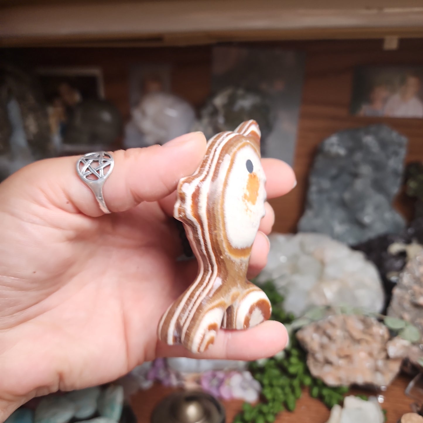 Brown Aragonite Dolphin