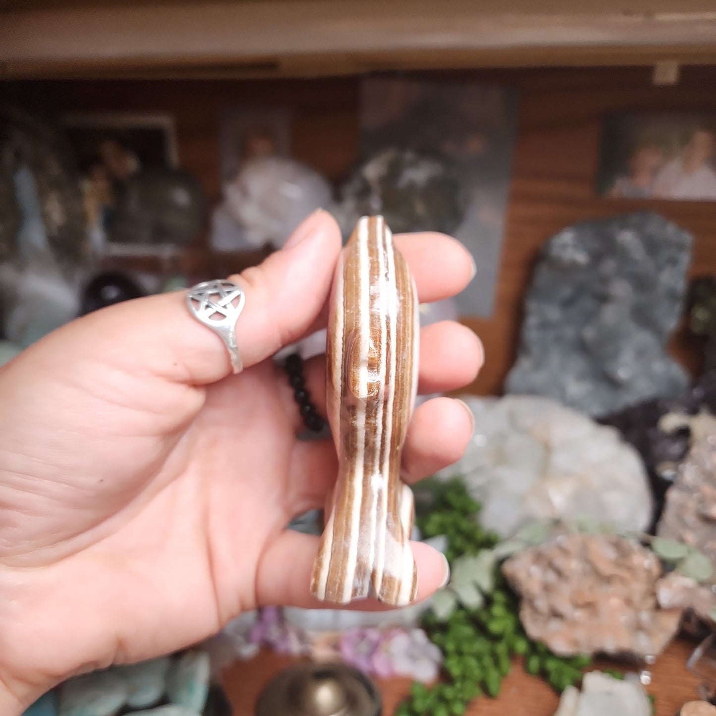 Brown Aragonite Dolphin