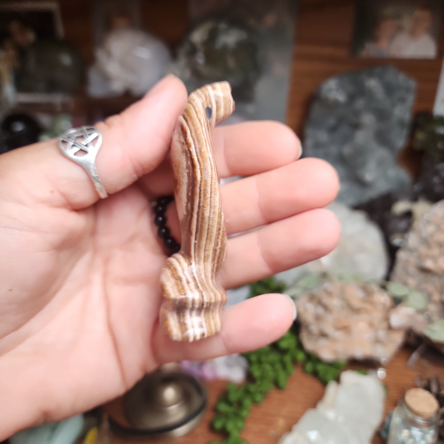 Brown Aragonite Snake