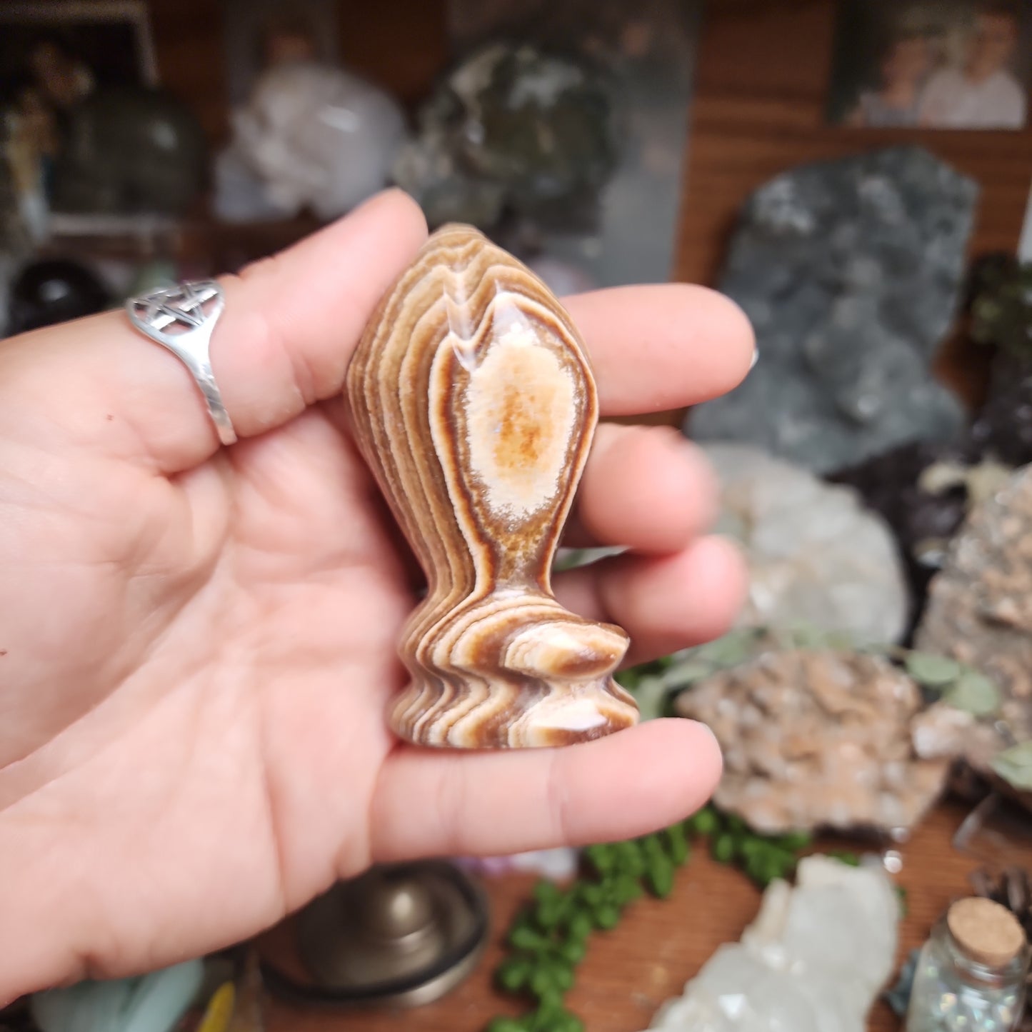 Brown Aragonite Snake