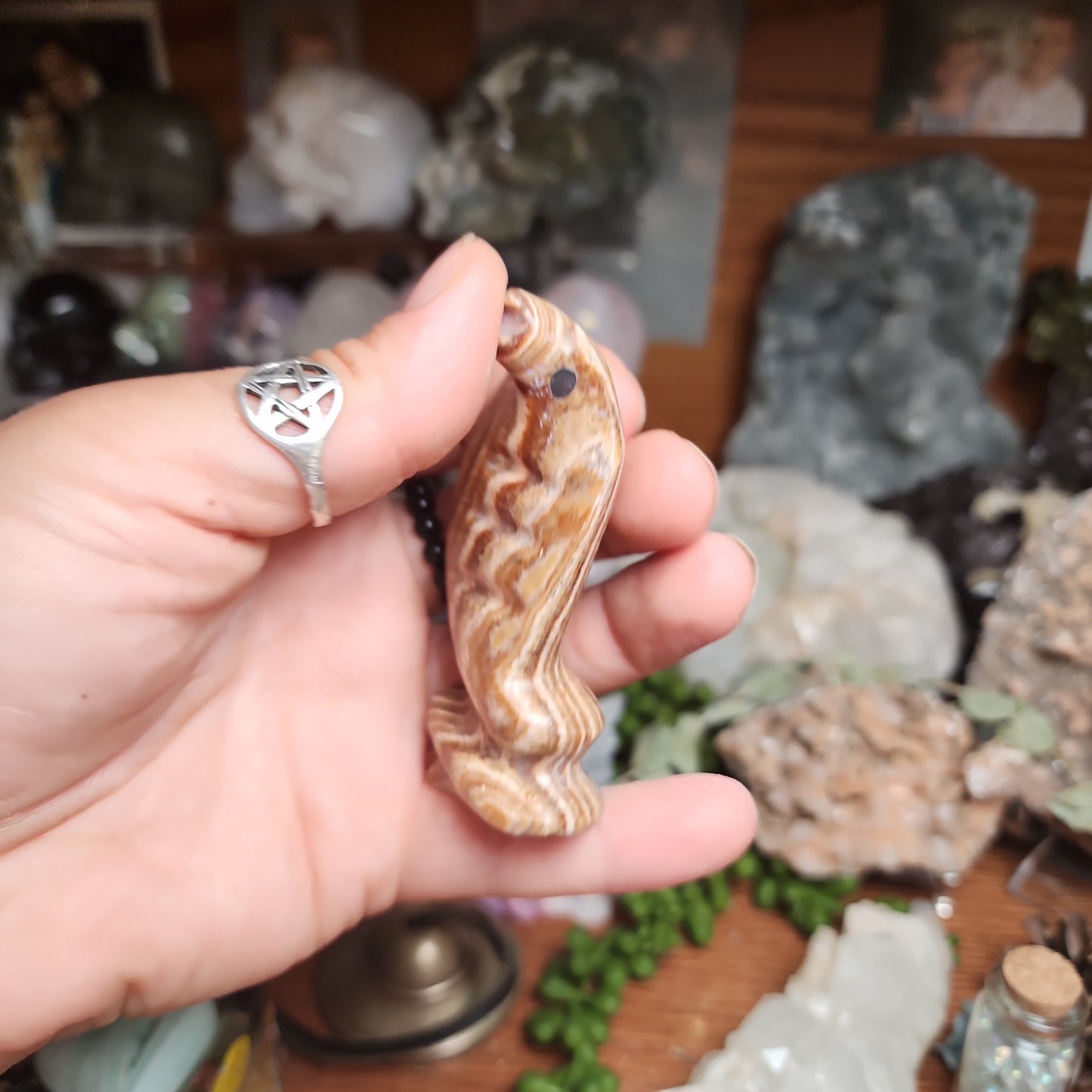 Brown Aragonite Snake