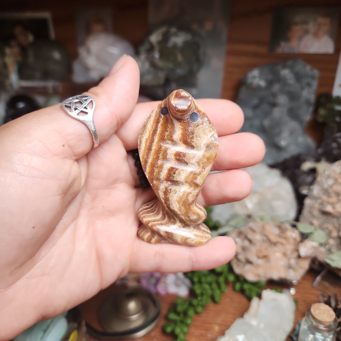 Brown Aragonite Snake