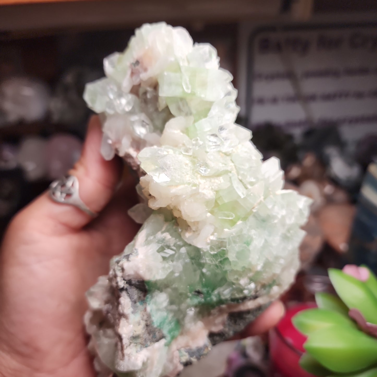 Green Apophylite Large Cluster with Peach Stillbite