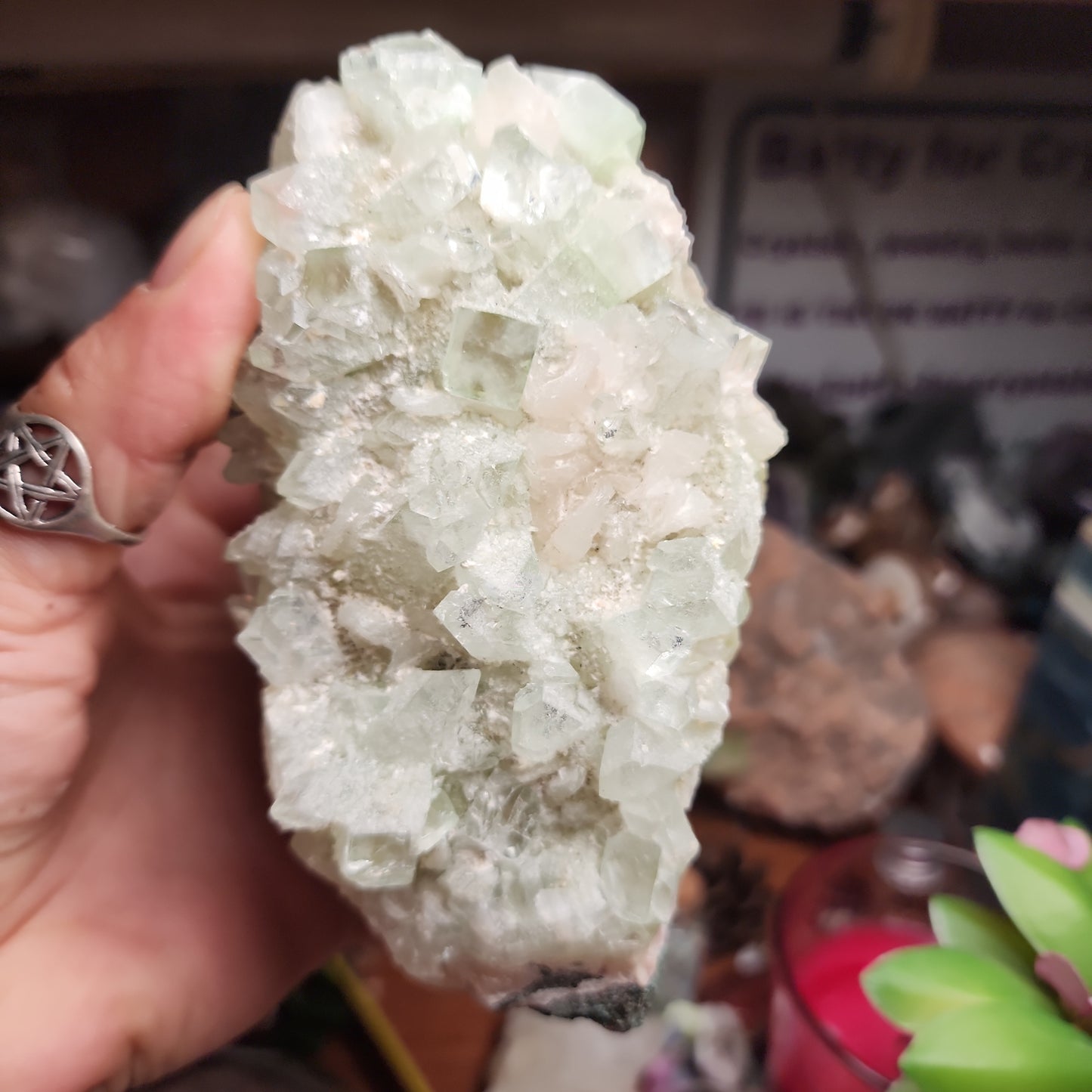 Green Apophylite Large Cluster with Peach Stillbite
