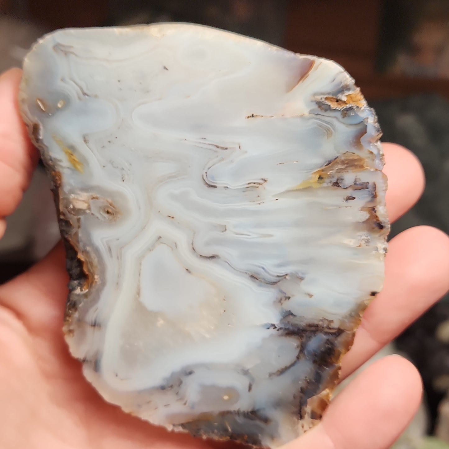 Dendritic Agate Slab
