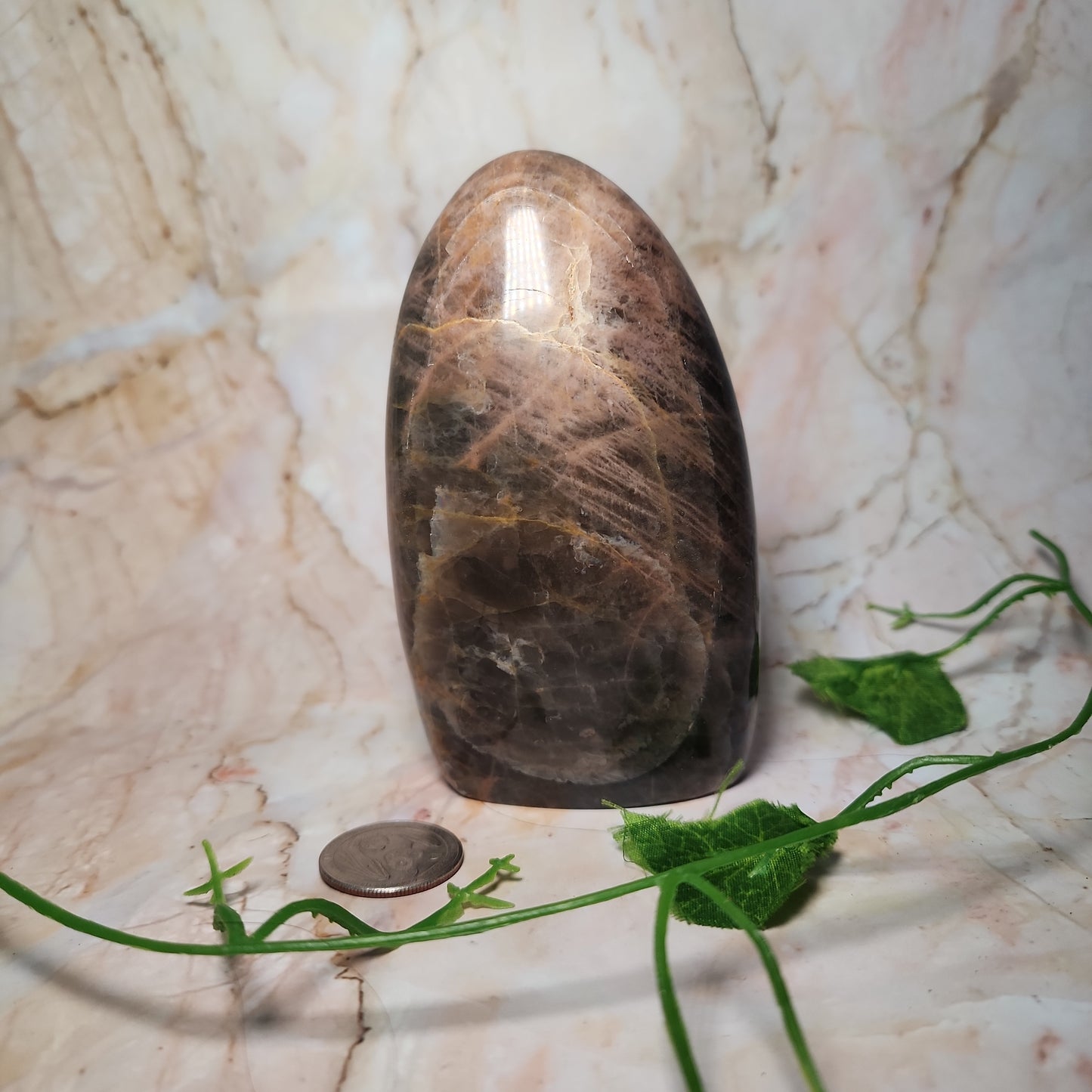 Black Moonstone Flashy Freeform
