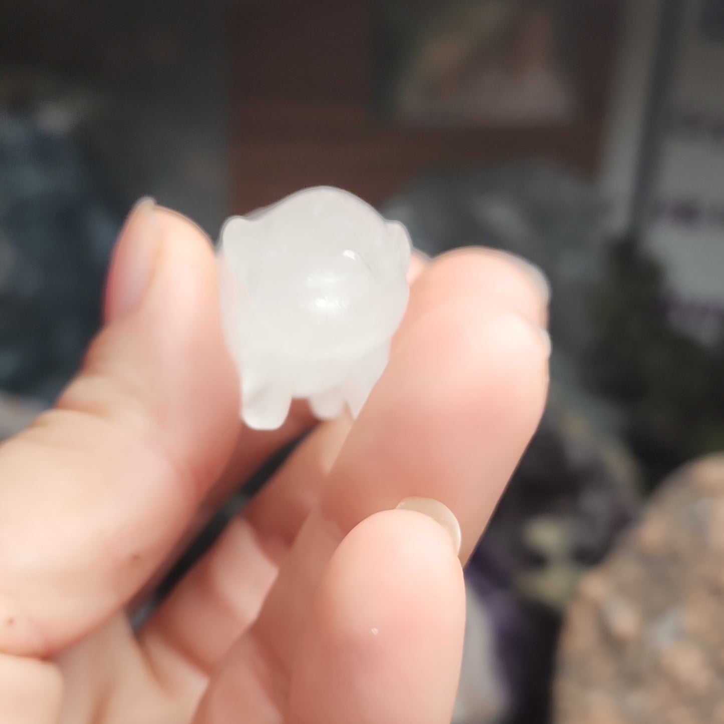 Clear Quartz Pig