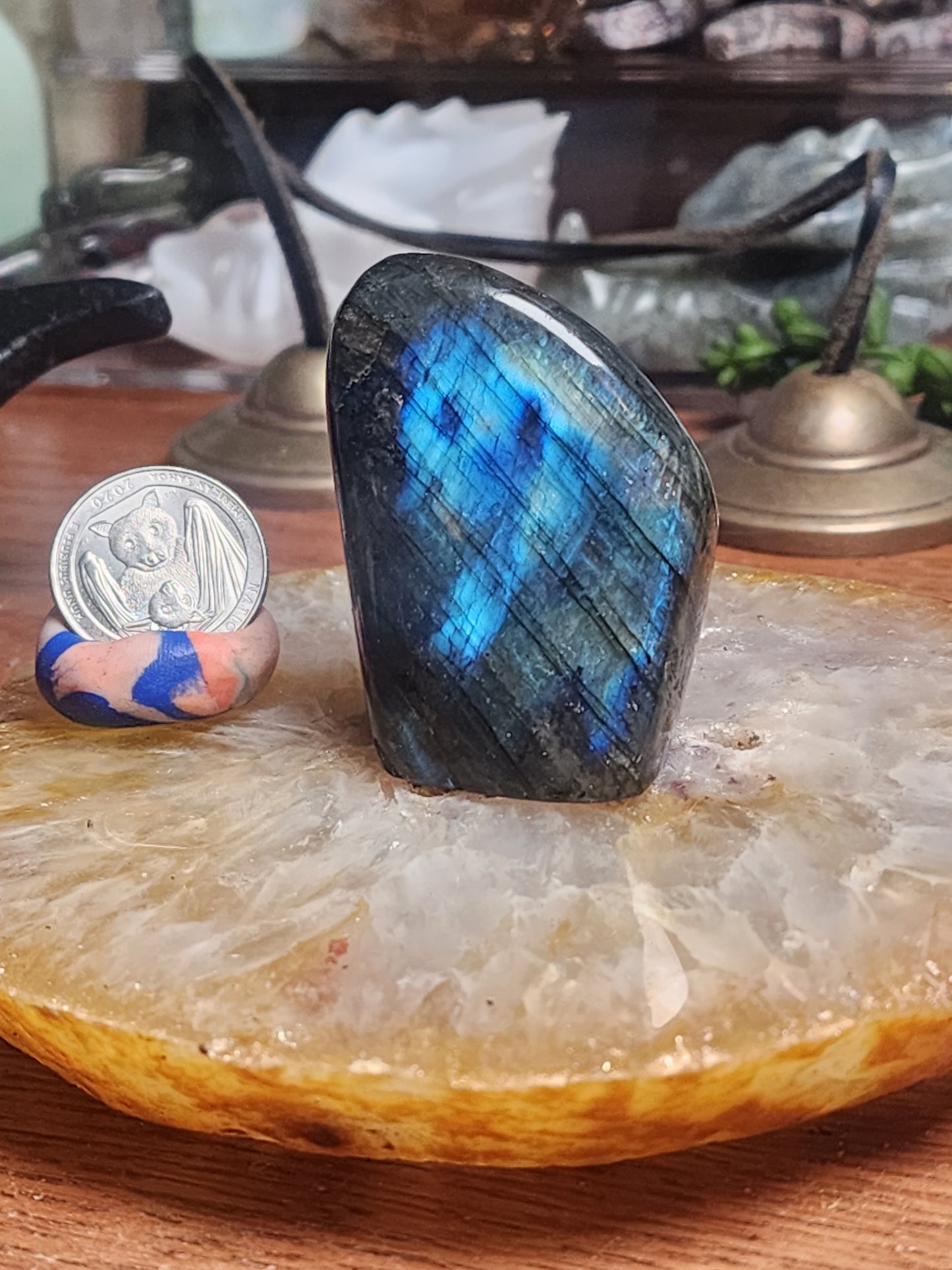 HQ Flashy Labradorite Freeform
