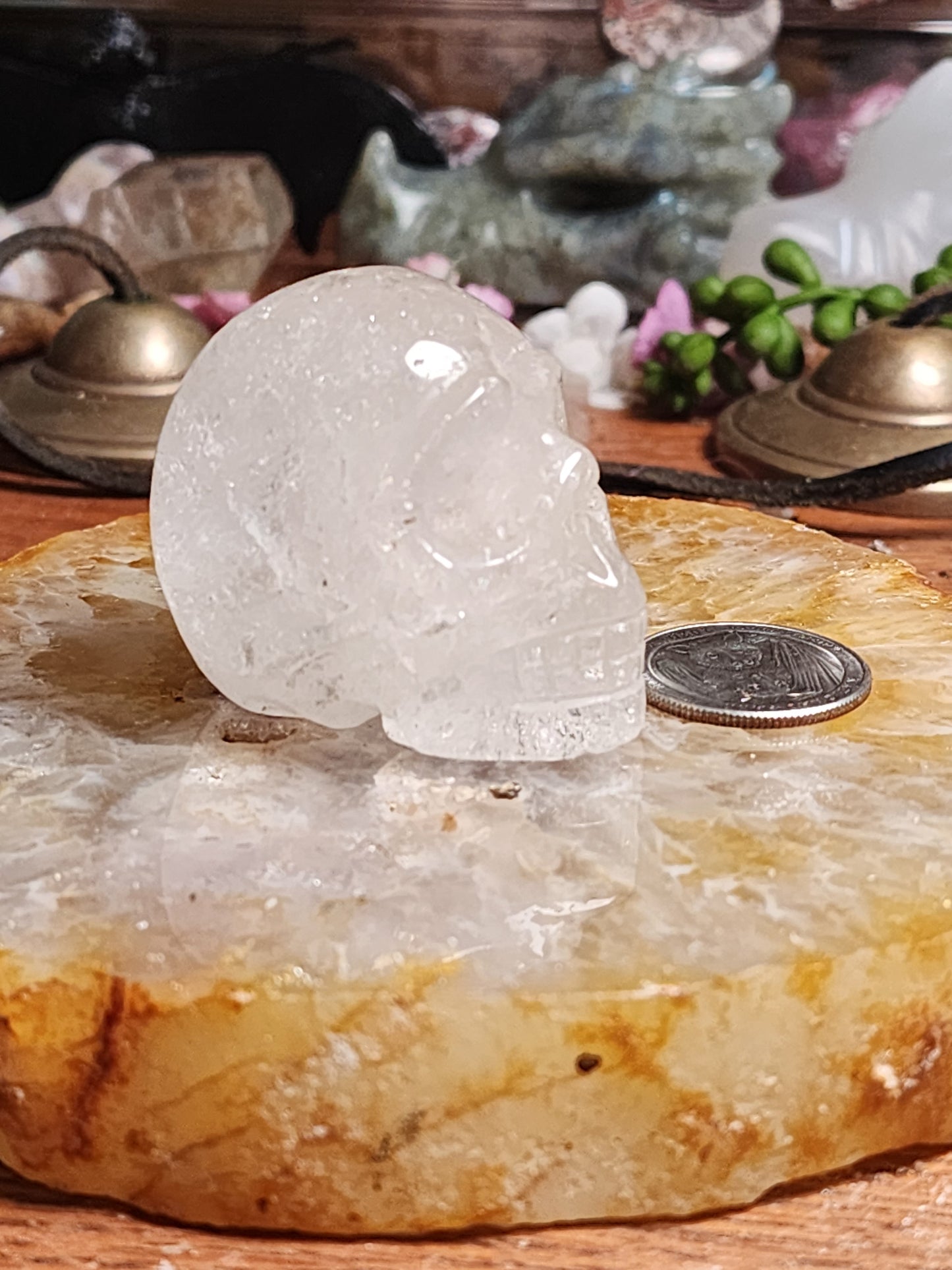 Clear Quartz Skull