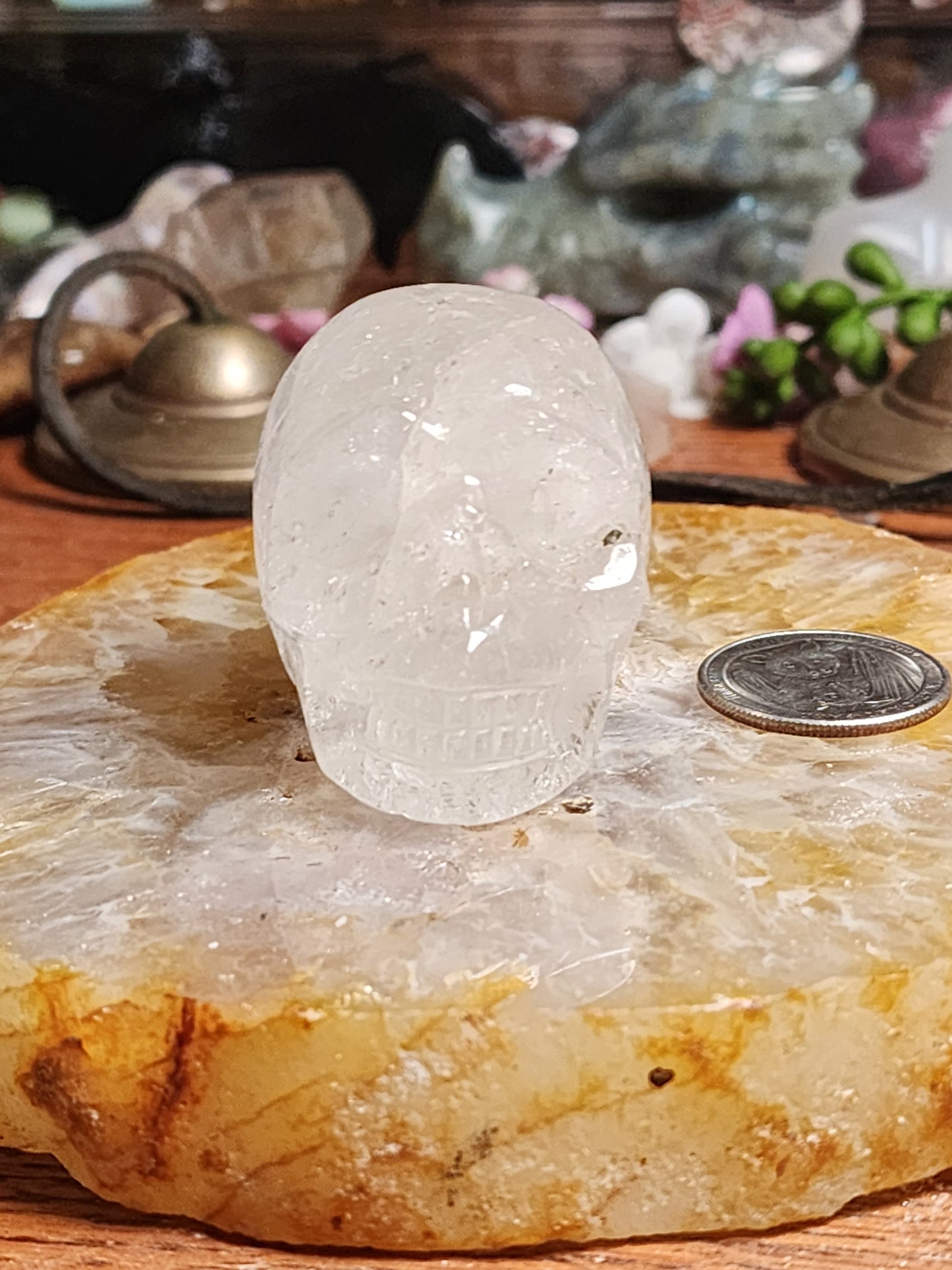 Clear Quartz Skull