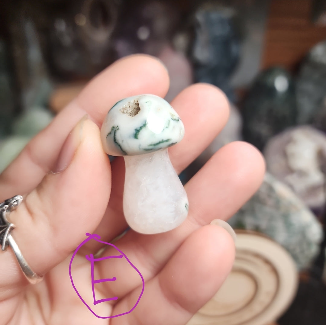 Druzy Moss Agate Mushroom- u choose