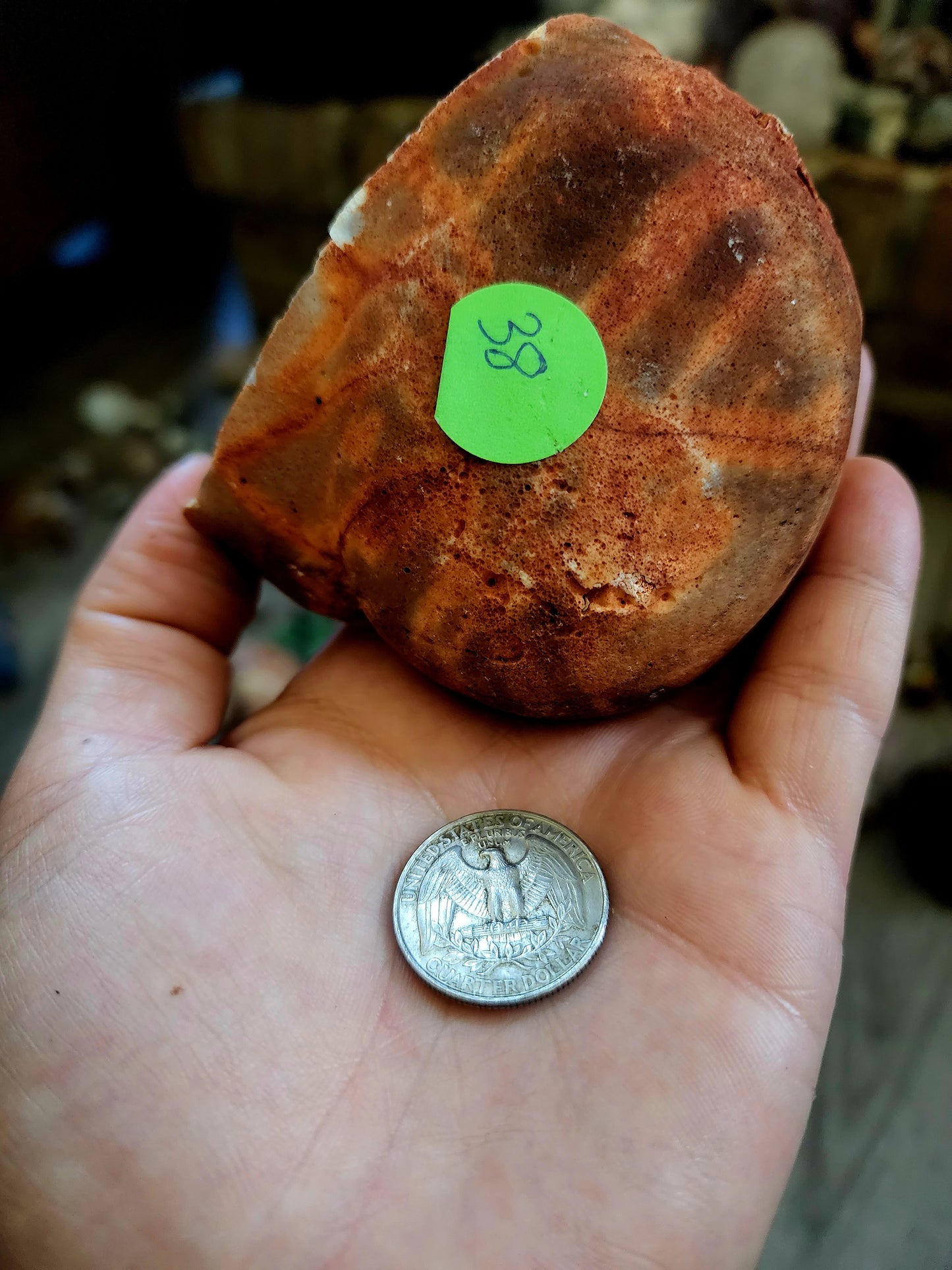 Large open quartz geode with suprise