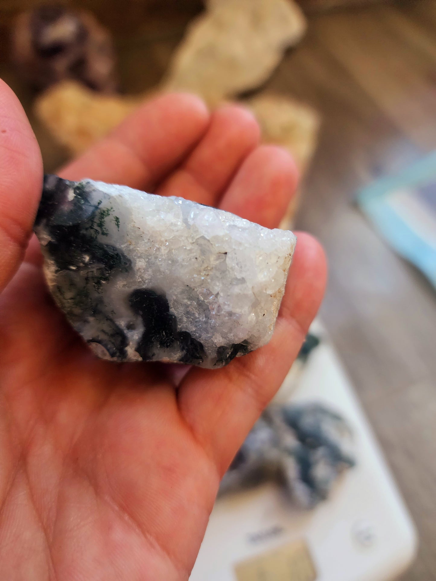 Lot of 6 raw moss agate pieces