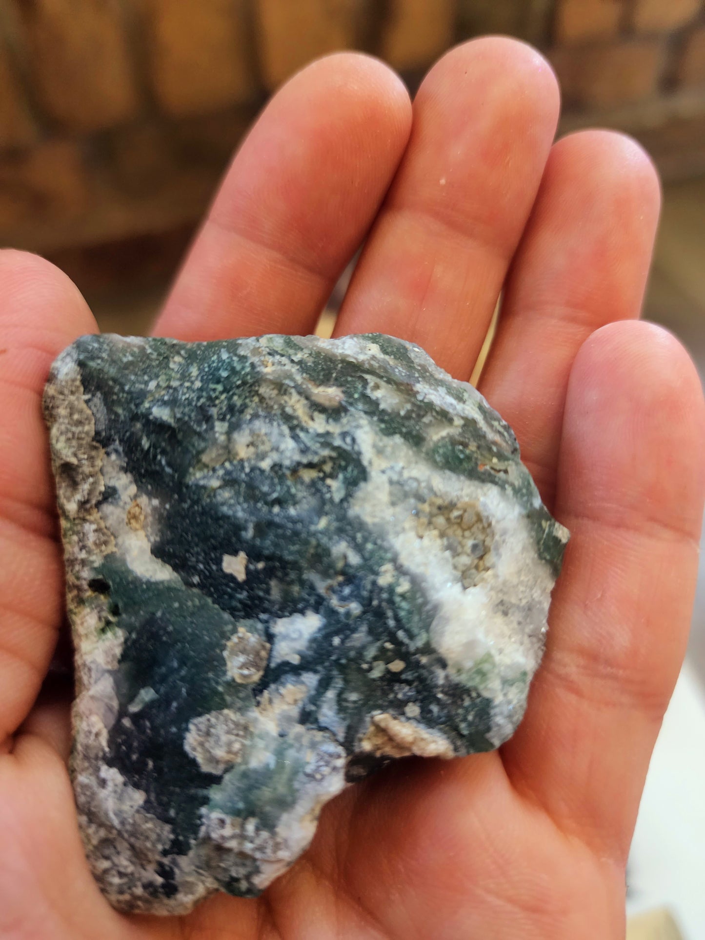 Lot of 6 raw moss agate pieces