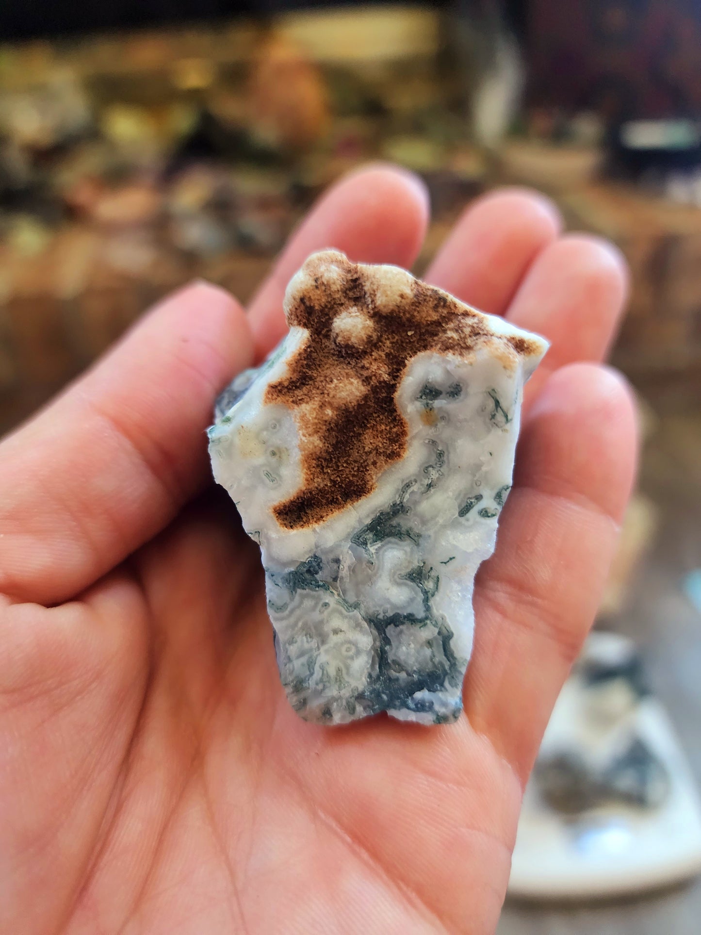 Lot of 6 raw moss agate pieces