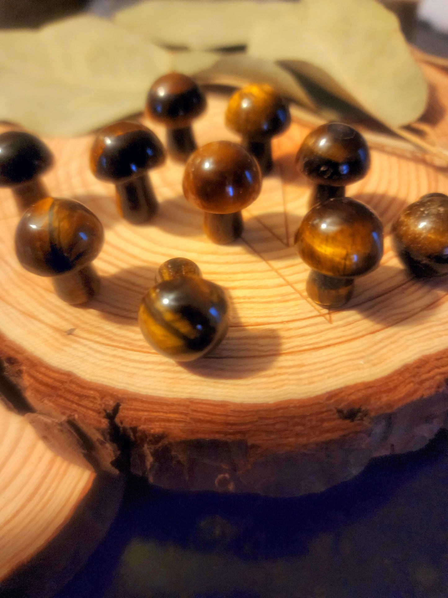 Tigers eye mini mushroom ๐