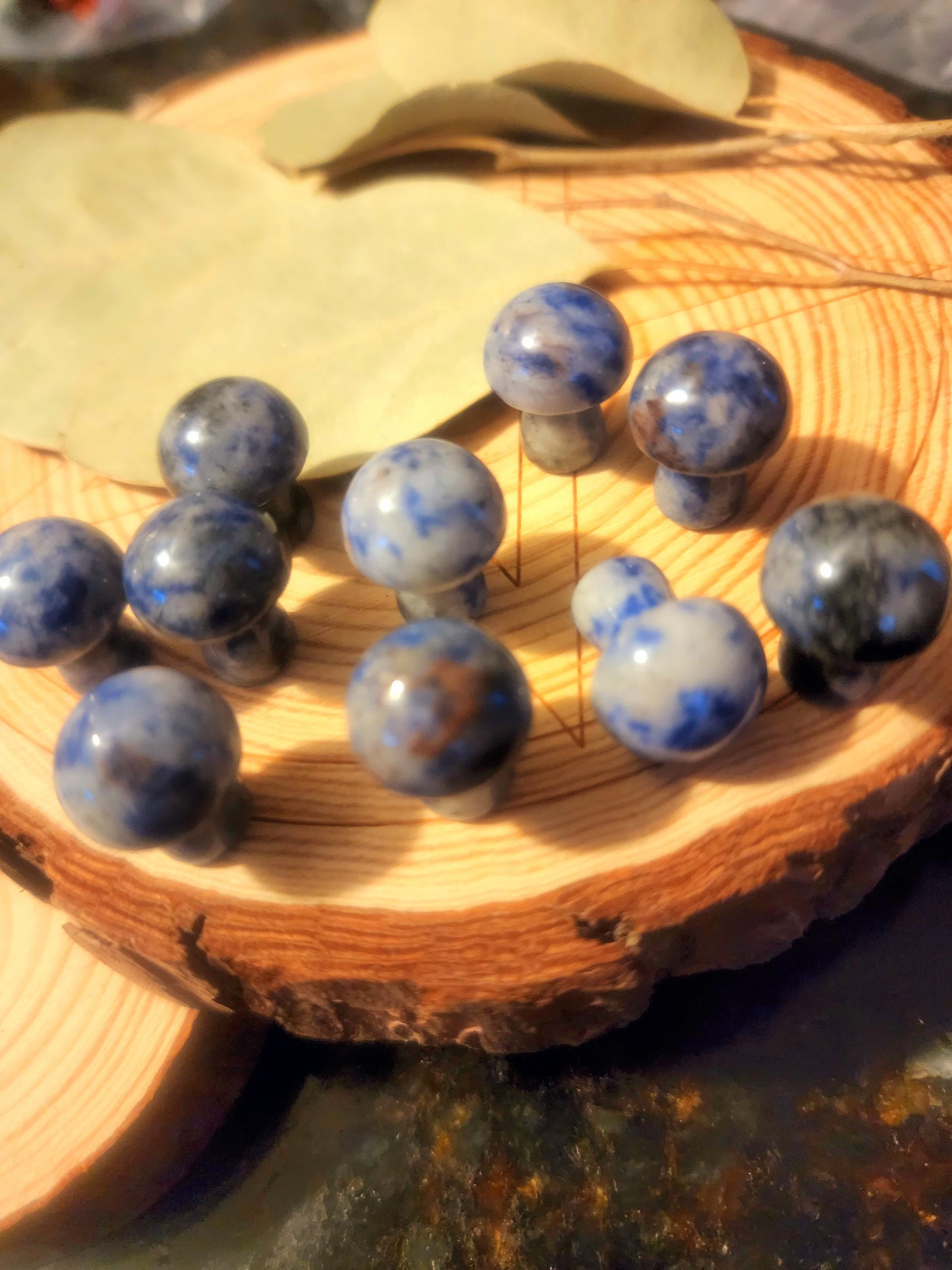 Sodalite mini mushroom ๐