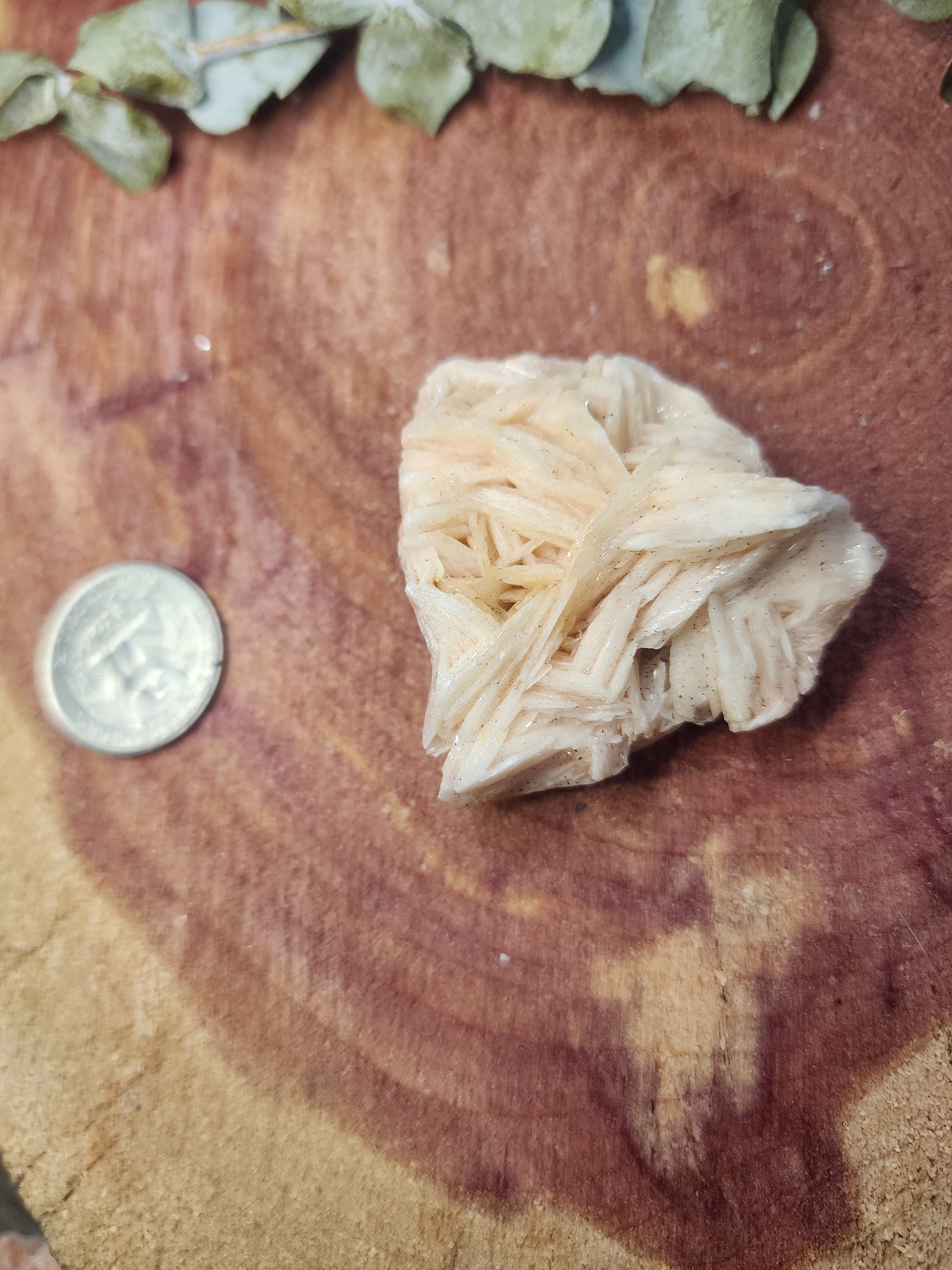 Barite specimen