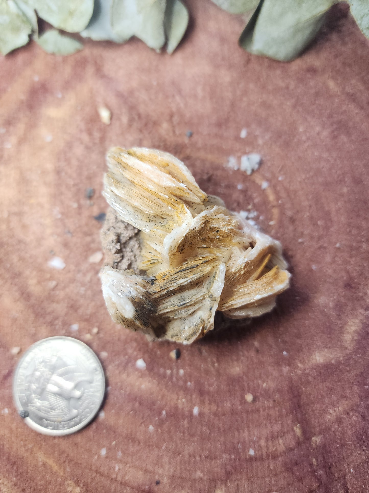 Barite specimen