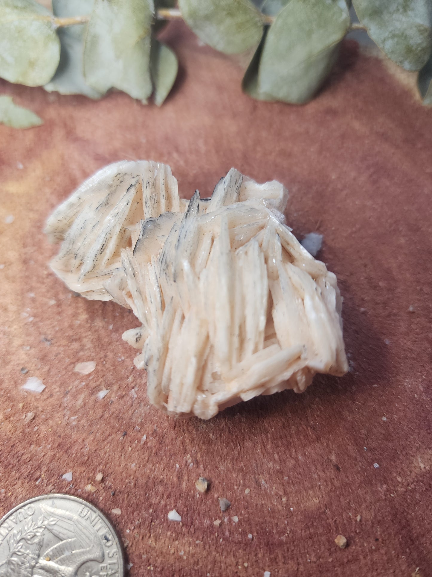 Barite specimen