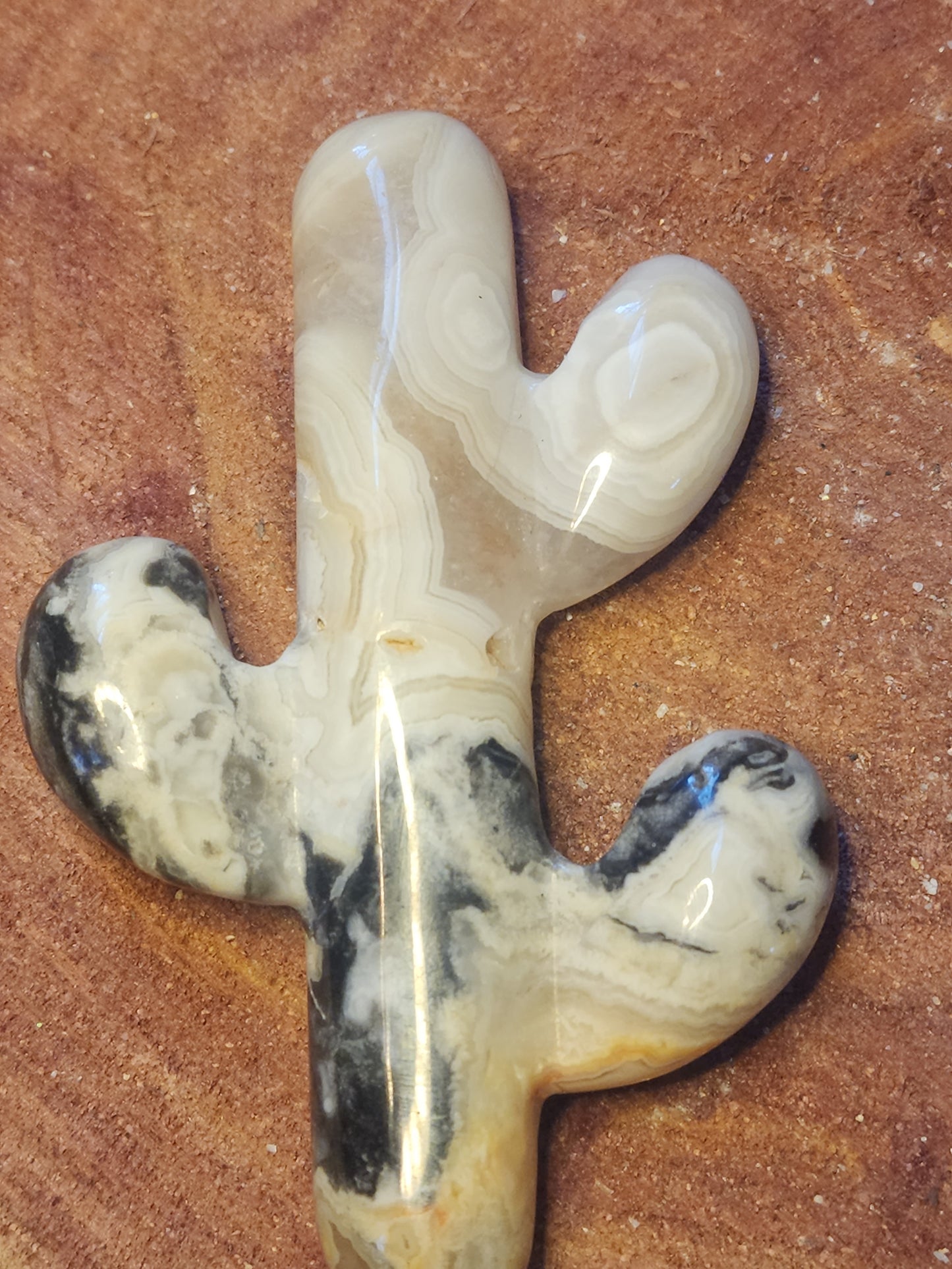 Crazy lace agate cactus ๐ต