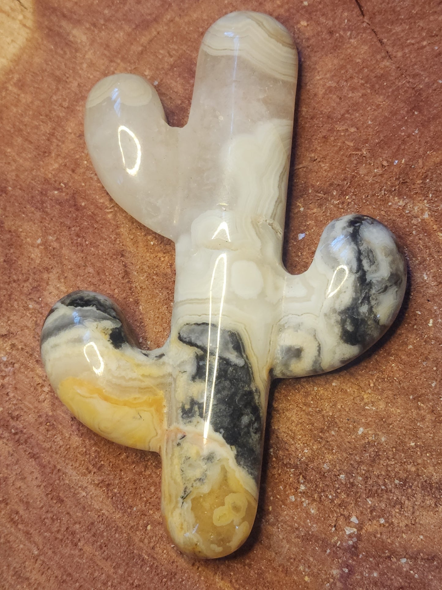 Crazy lace agate cactus ๐ต