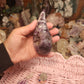 Bundle 2- Amethyst Critters
