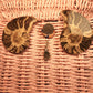 Bundle 7- Ammonite in the Flash