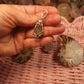 Bundle 7- Ammonite in the Flash