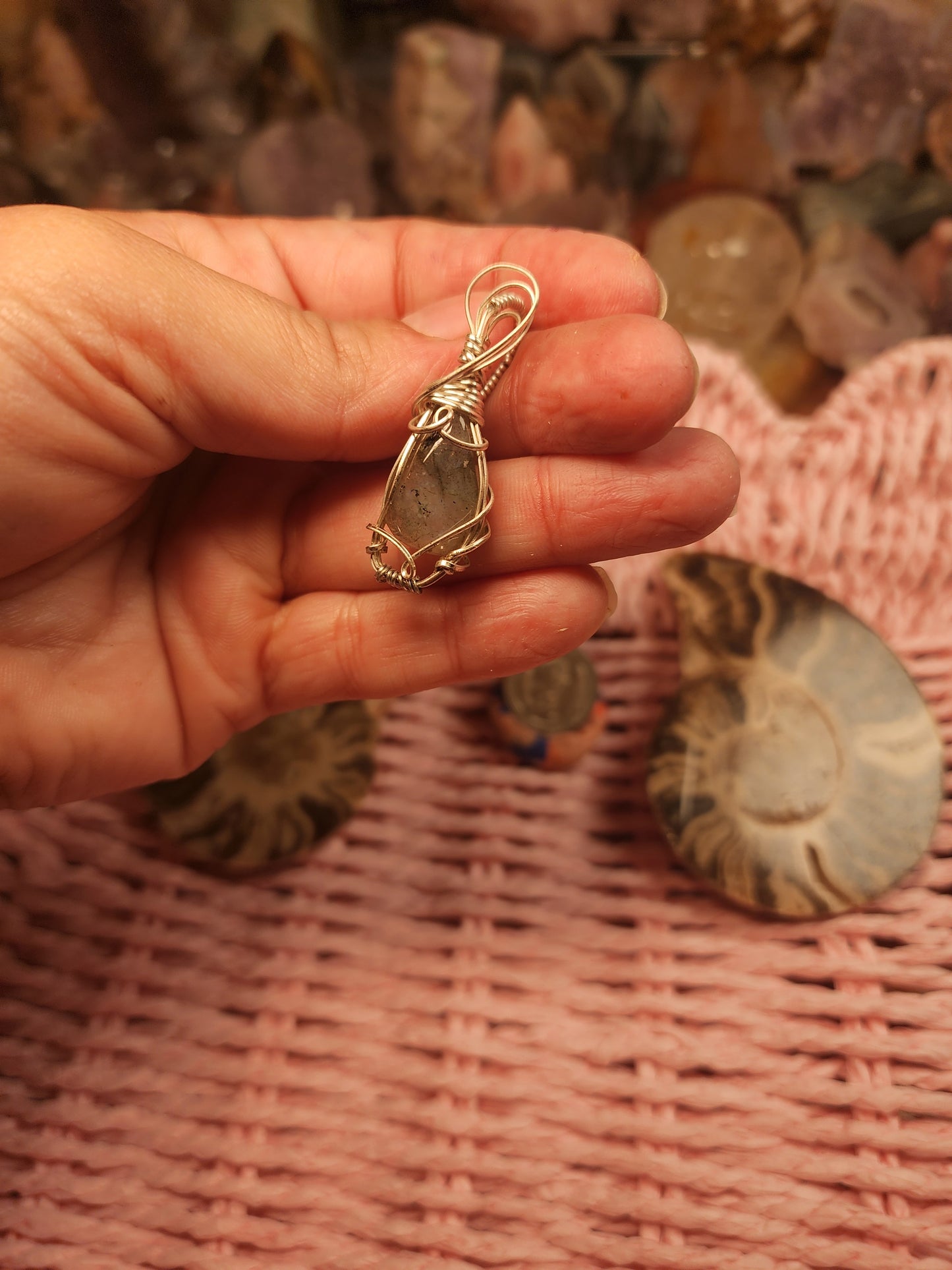 Bundle 7- Ammonite in the Flash
