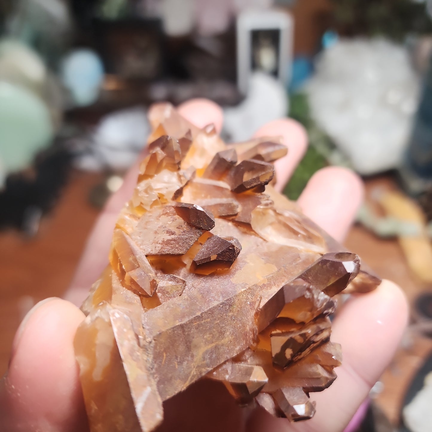 Golden healer cluster