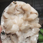 Large Stillbite Cluster