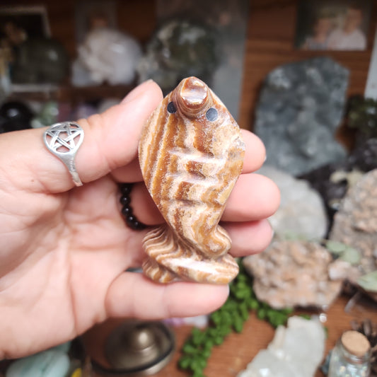 Brown Aragonite Snake