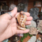 Brown Aragonite Snake