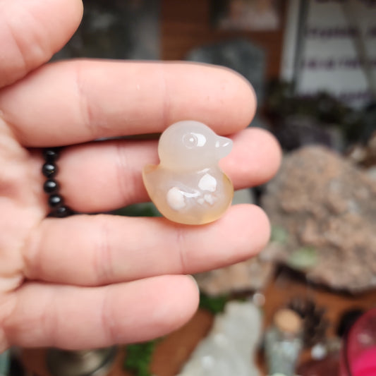 Flower Agate Duck