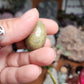 Unakite Egg