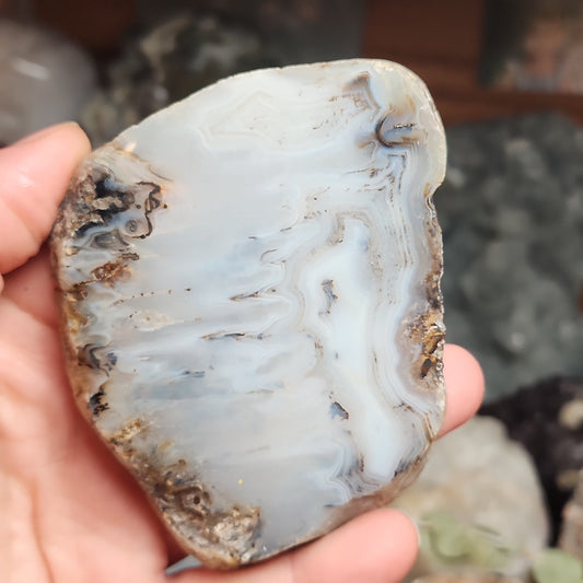 Dendritic Agate Slab
