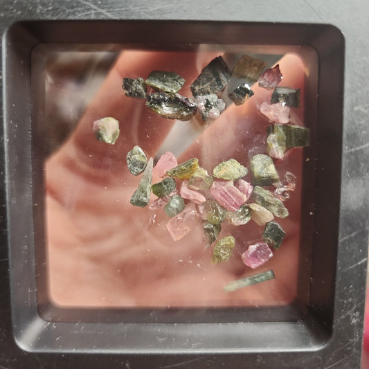 Pink/Green Tourmaline Pieces in a Display Box