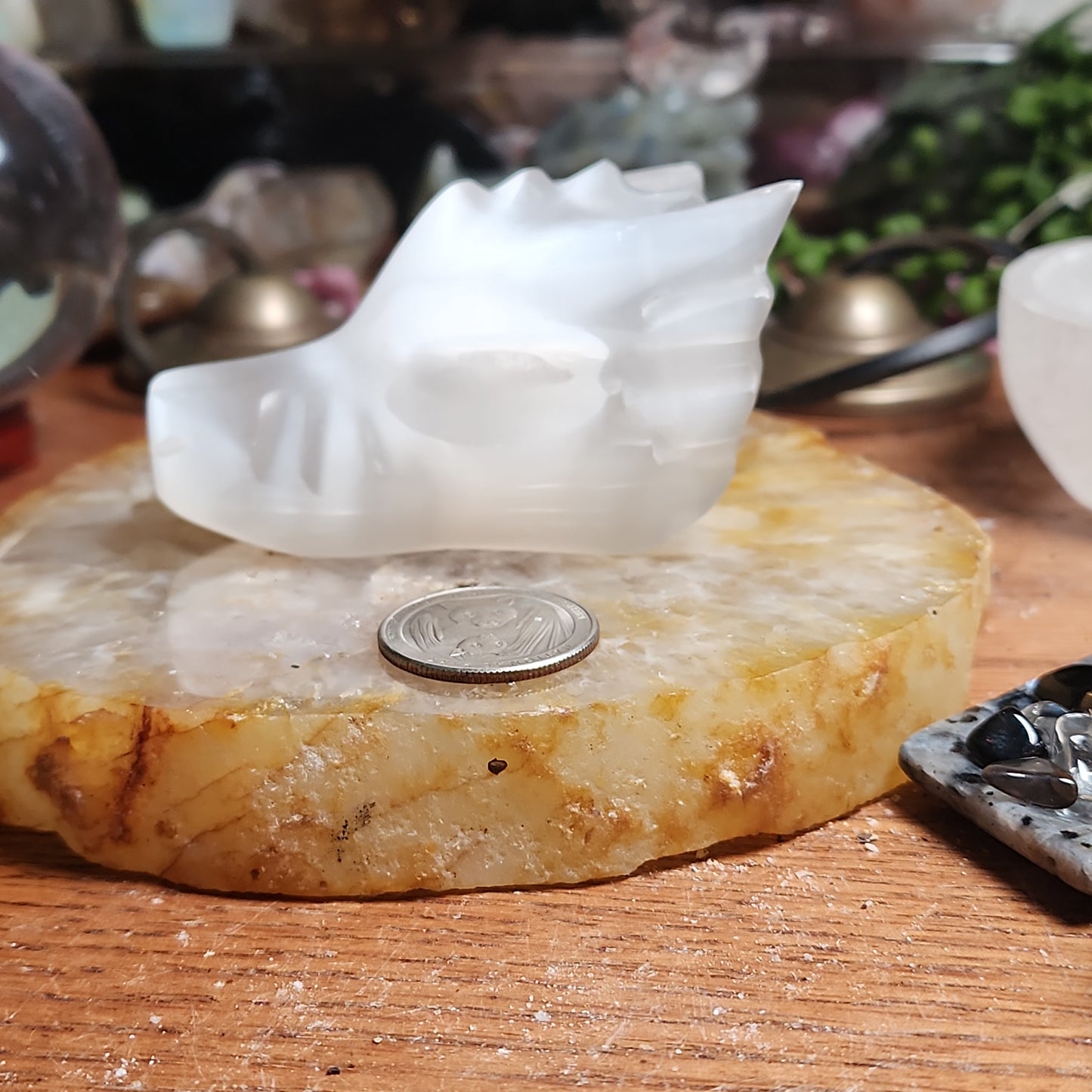 Satin Spar (selenite) Dragonhead