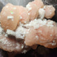 Peach Apophylite Large Cluster with Halite & Calcites