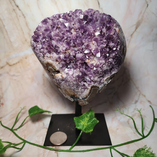 Brazilian Amethyst Cluster on Stand