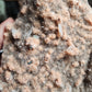 Heulandite Cluster with Green Apophylite