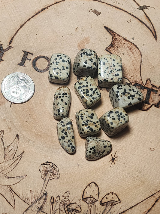 Lot of Dalmation Jasper Tumbles