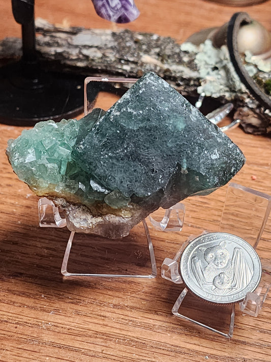 Green Fluorite Cube Specimen