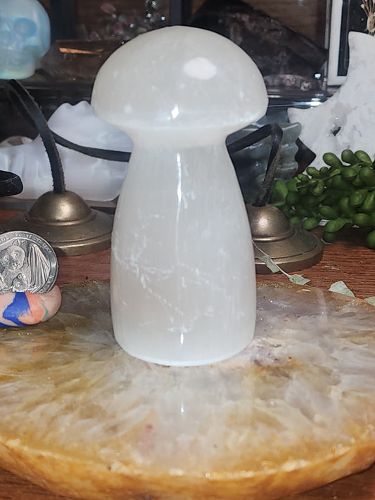 Satin Spar (selenite) Mushroom