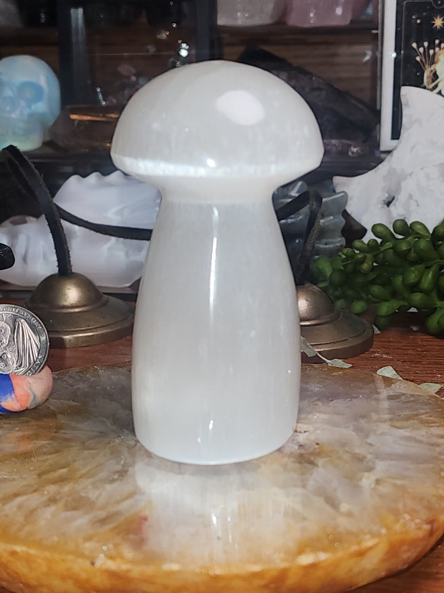 Satin Spar (selenite) Mushroom