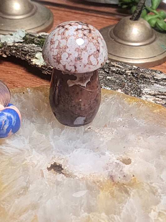 Beautiful Ocean Jasper Druzy Mushroom